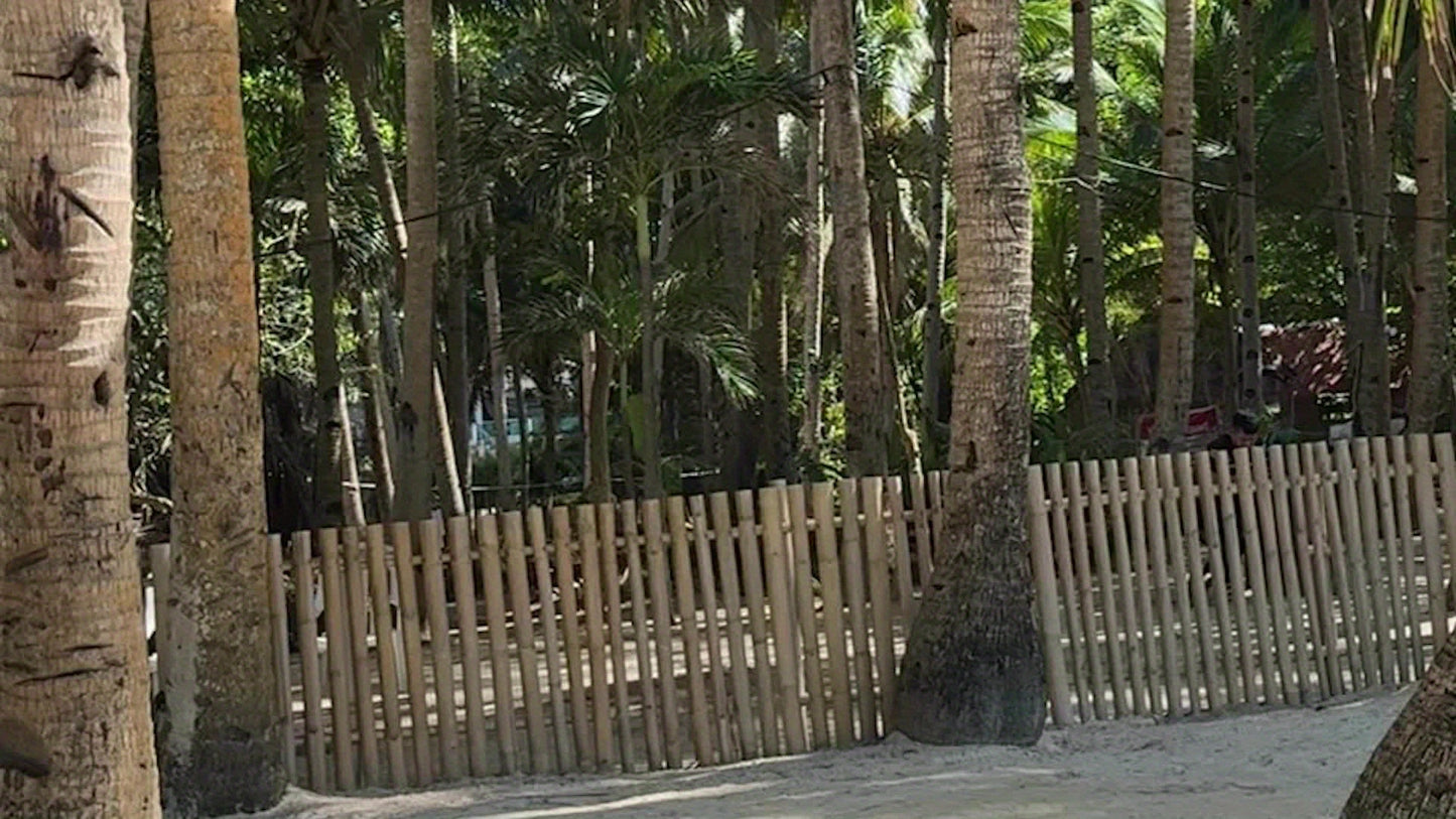 Dispozitiv portabil de traducere a limbilor străine